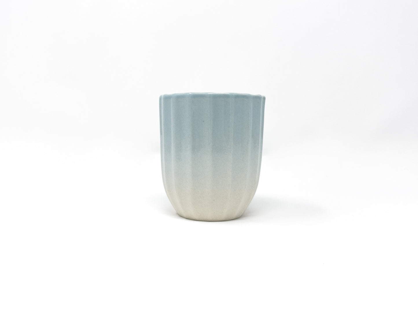 Echo 01